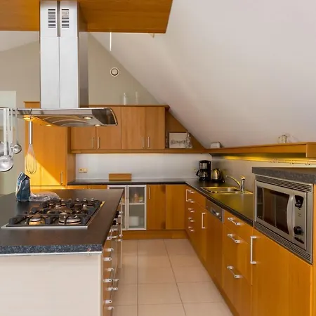 Dorpstienden 10 - Ouddorp, Spacious With Big Kitchen, Near The Beach And Centre Of The Village Apartment